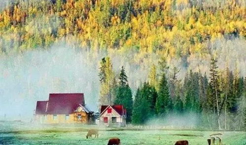 新疆15處美景上榜，生態(tài)保護(hù)與旅游發(fā)展相得益彰